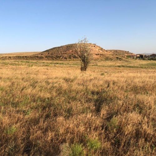 زمین مناسب باغچه