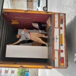 شمسولا نوری