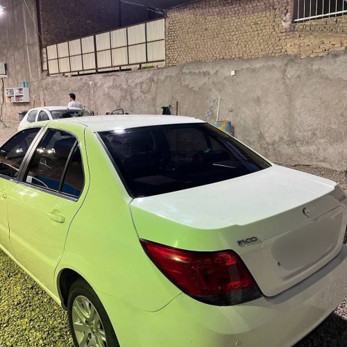 دنا معمولی تیپ2