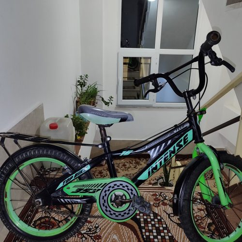 دوچرخه اینتنس 16