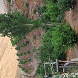 باغ7000متری سنندج