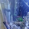 فروش آکواریوم 1متری با تمام وسایل به فروش می رسد