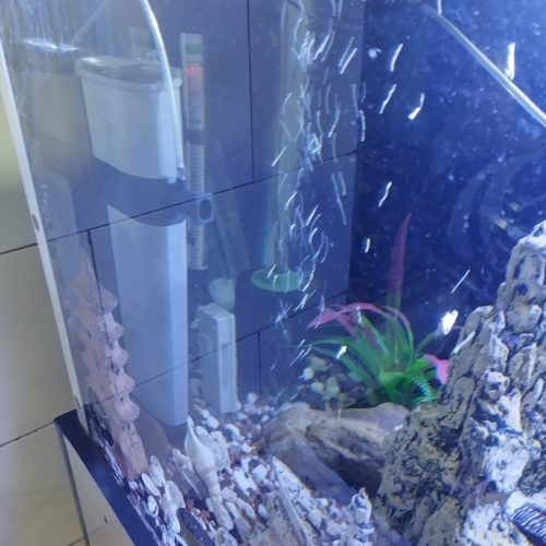 فروش آکواریوم 1متری با تمام وسایل به فروش می رسد