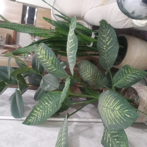 گل سانسورها و دیفن