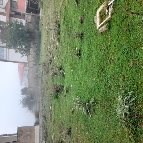 فروش زمین ییلاقی فیلبند