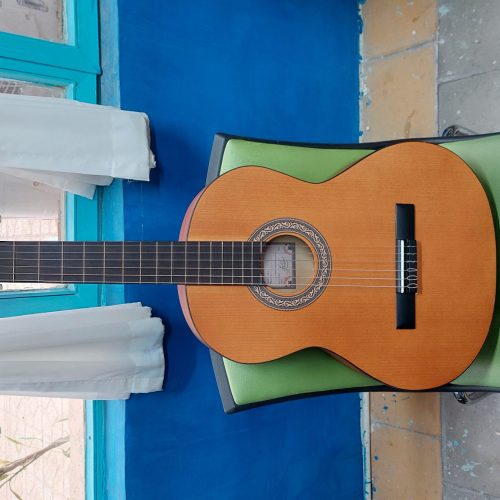 گیتار پارسی m2