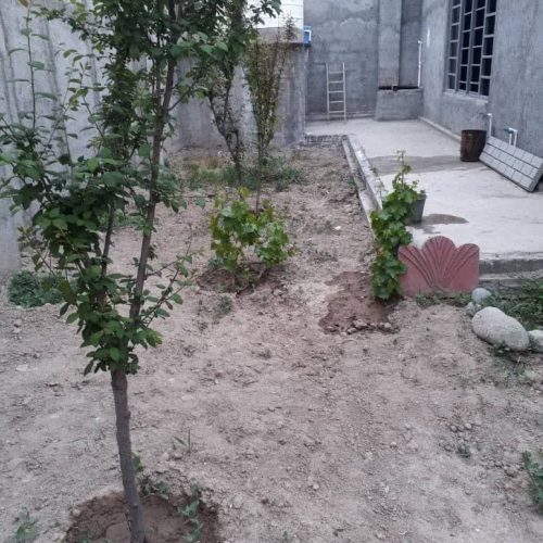 فروش باغچه نقلی