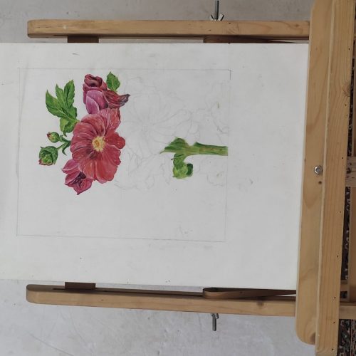 وسایل نقاشی رنگ روغن مارک وستا دست دوم