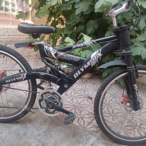 دوچرخه کوهستانی ترمز دیسکی و دنده موتوری می باشد