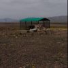 زمین کشاورزی معروف به خاک طلا