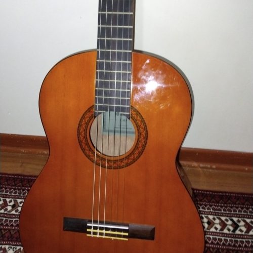 گیتار و کیف c40