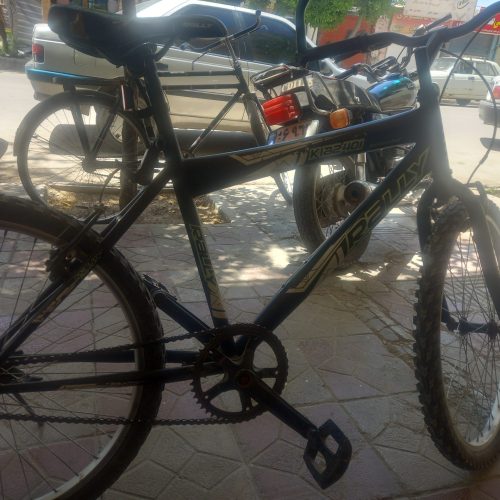 دوچرخه 24 رالی