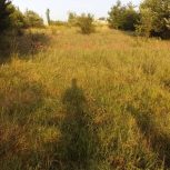 فروش زمین مسکونی در روستای جمال آباد