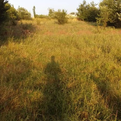 فروش زمین مسکونی در روستای جمال آباد