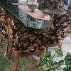 مبلمان و میز ناهار خوری