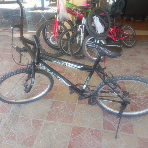 دوچرخه 24 رالی