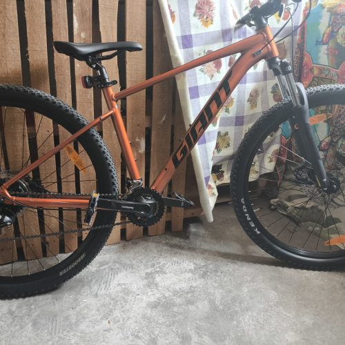 فروش دوچرخه حرفه ای جاینت تالون 3 سایز29