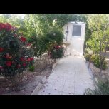 باغ هزارمتری فولادشهر