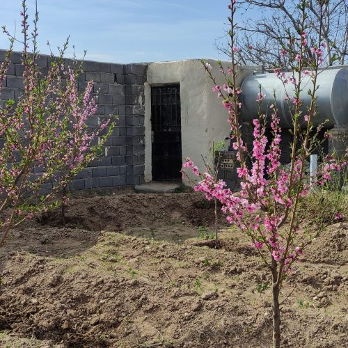 باغچه سرسبز اندرخ