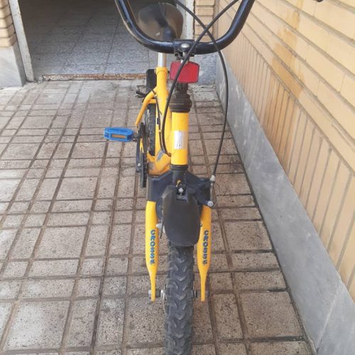 دوچرخه دونالد 16