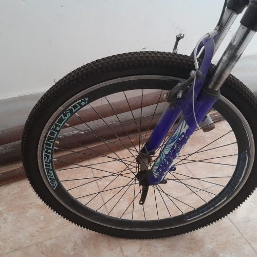 دوچرخه حتا گل های تایر سالم هست و یک سال 2سال کسی سوار نشوده است و چیز های مهم چرخ فابریک می باشد رنگ فابریک