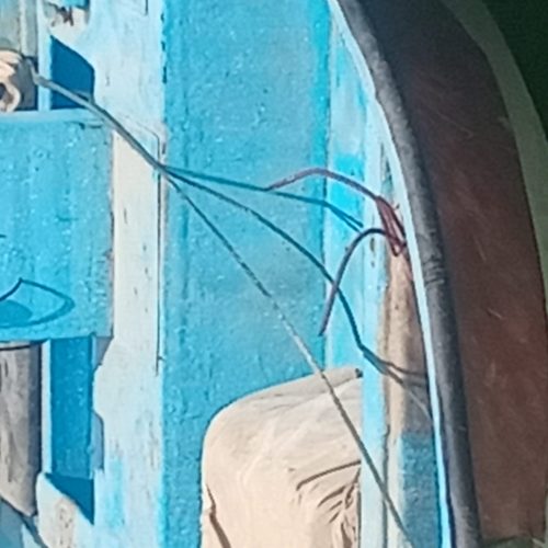 قایق و موتور