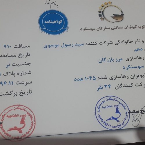 کبوتران مسافت کوتاه، متوسط، بلند