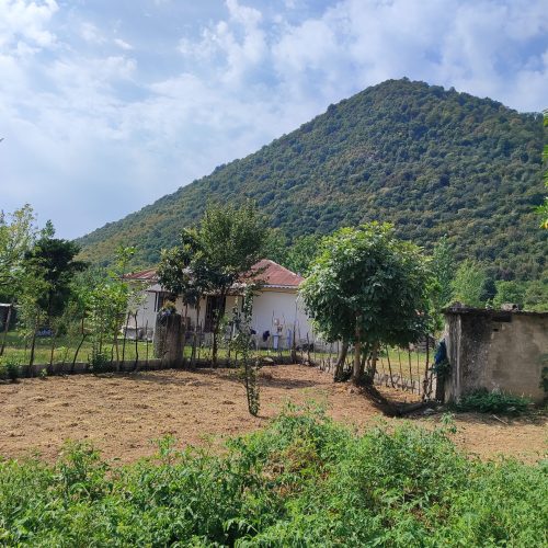 زمین مسکونی