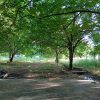 باغ گردو دربند…