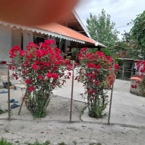 فروش، یک باب خانه ویلایی 13/300متر زمین سندار