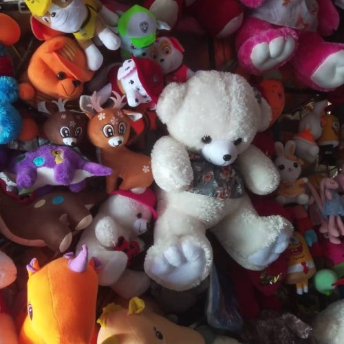 تولیدوپخش انواع عروسک پارسال به سراسرکشور