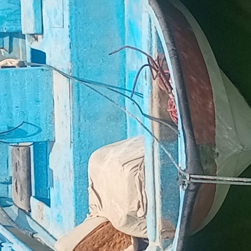 قایق و موتور