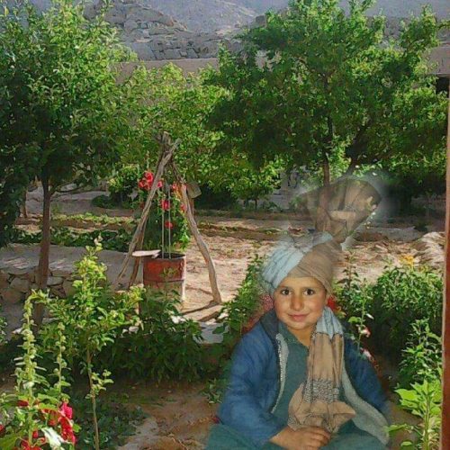 دیوارچینی