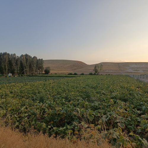 تبریز شهرستان بستان آباد
