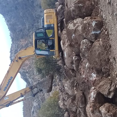 اجاره بیل مکانیکی زنجیری