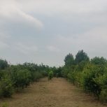 فروش زمین قیمت توافقی و معاوضه ای