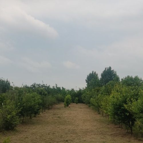 فروش زمین قیمت توافقی و معاوضه ای