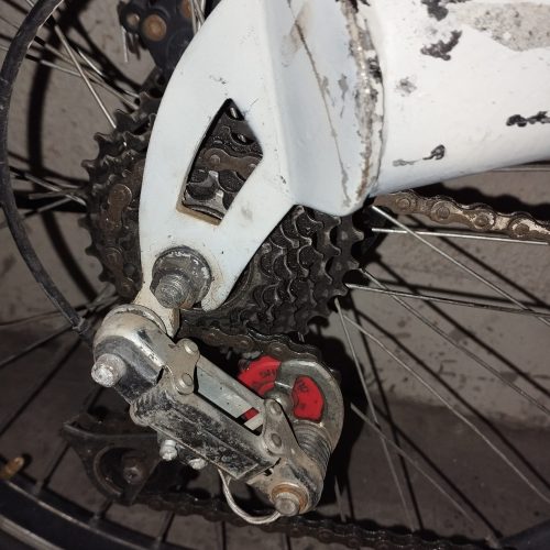 دوچرخه 23 تنه بزرگ سفید همه چیزو تازه اوز کردم