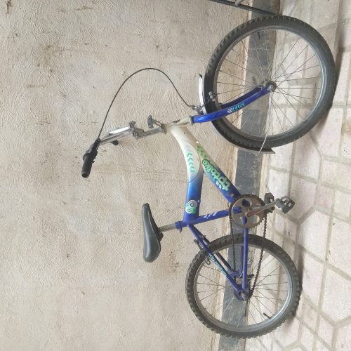 دوچرخه سایز بیست