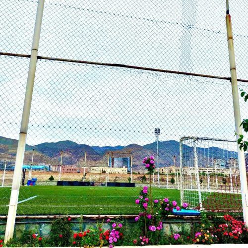 زمین چمن مصنوعی دانش