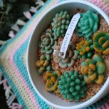 شمع باغچه کاکتوس