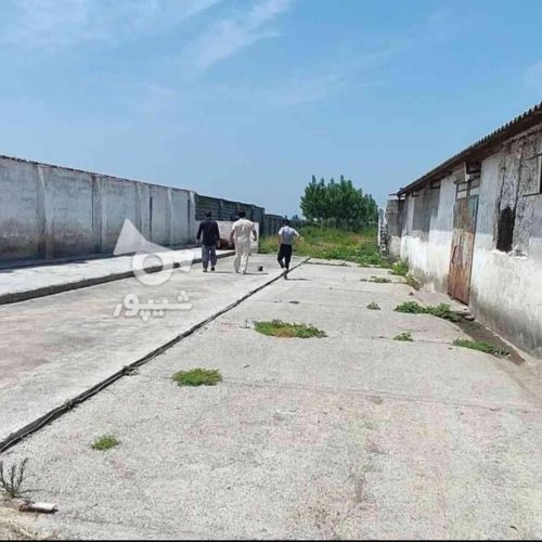 فروش زمین ویلایی مسکونی تجاری زیر قیمت بیوگرافی بخون ضرر نمیکنی برای تاجرین عالیه