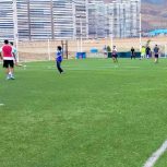 زمین چمن مصنوعی دانش