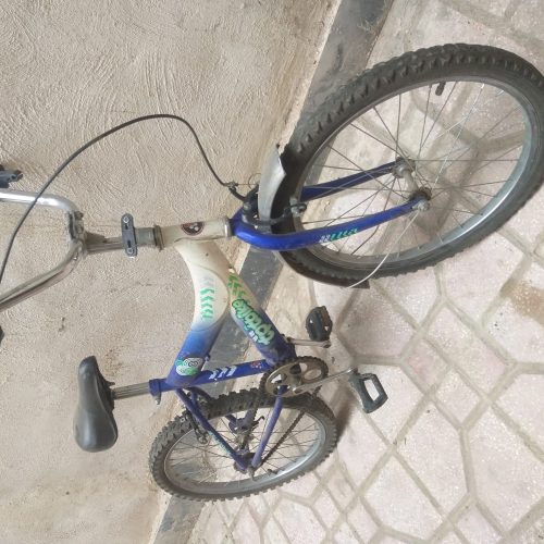 دوچرخه سایز بیست