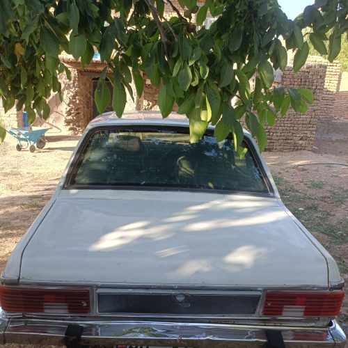 ماشین سالم جلو عقب پلوپ بیمه داره لاستیک نوداره بدون مشگل مدل83