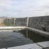 باغچه نقلی
