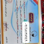 کبوتران مسافت کوتاه، متوسط، بلند