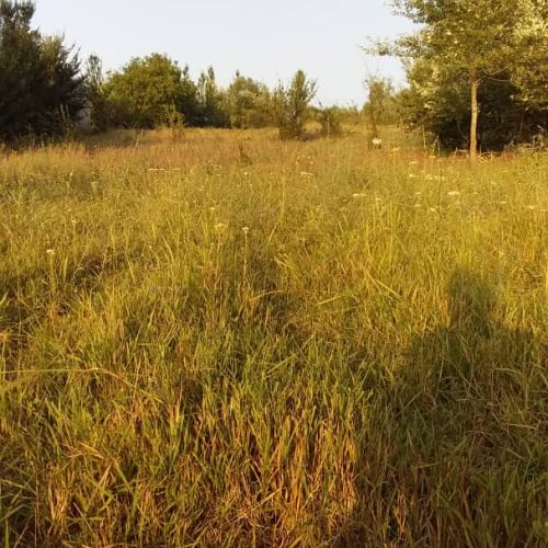 فروش زمین مسکونی در روستای جمال آباد