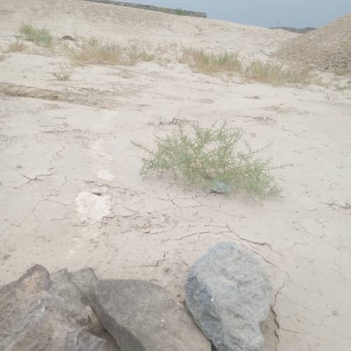 فروش زمین حراج