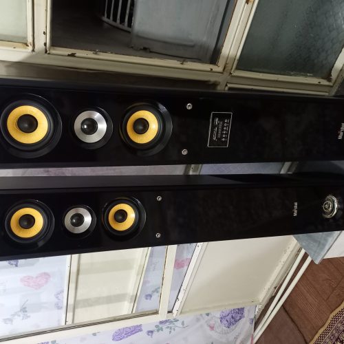 دو عدد باند خانگی